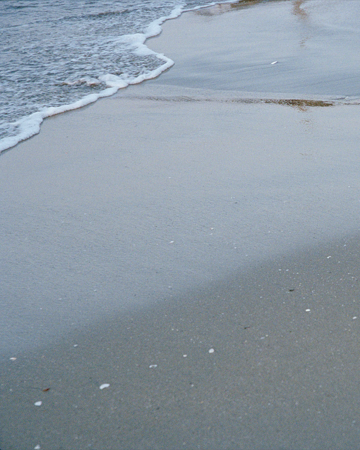 One Ocean, All Lands Identity